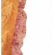 Bocadillo de bull